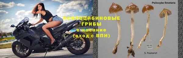 молекула духа Красноперекопск
