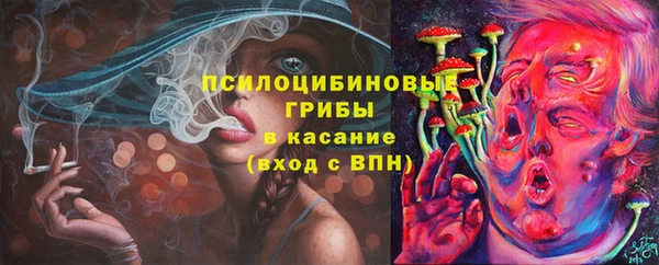 молекула духа Красноперекопск