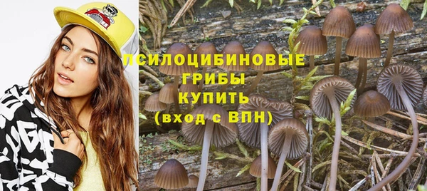 молекула духа Красноперекопск