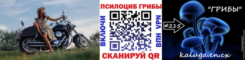 Купить где  Калач-на-Дону  Псилоцибиновые грибы ЛСД 