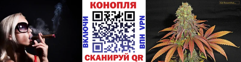 Купить закладки  Калач-на-Дону  МАРИХУАНА сатива 